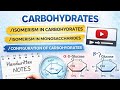 Carbohydrates|Isomerism in carbohydrates|Isomerism in monosaccharides|Configuration of carbohydrates