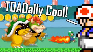 TOADally Awesome puns! - Mario Multiverse Closed Beta Levels