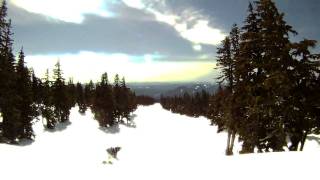 Timberline Season Edit