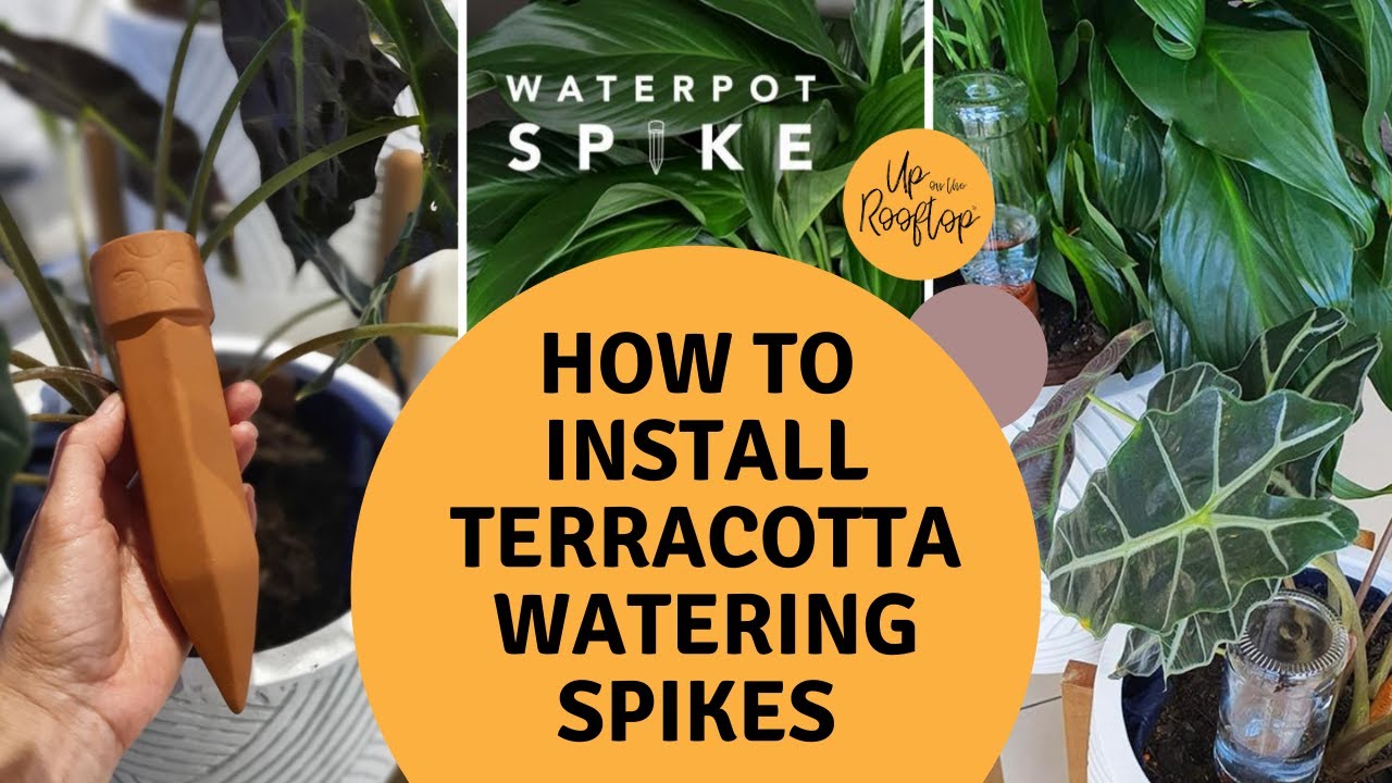 How to install your Waterpot Spike YouTube