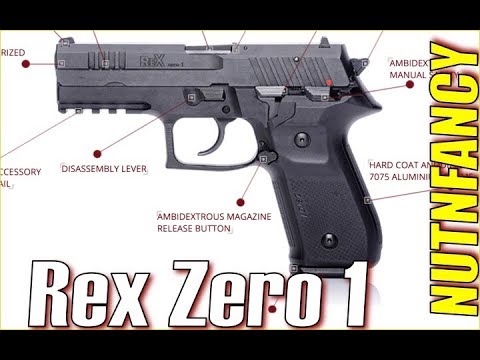 Arex RexZero: Will Be a Market Failure
