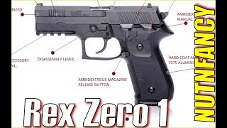 Arex RexZero: Will Be a Market Failure