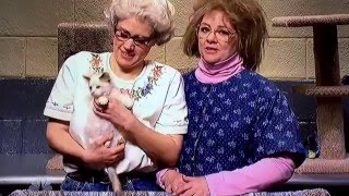 "Whiskers R We" SNL Melissa McCarthy 2/14/2016 (cats) (kittens) full screen