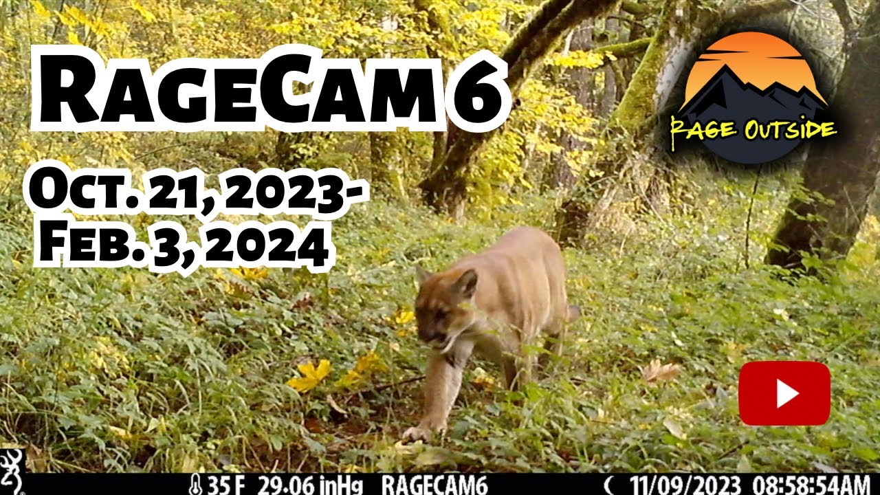 RAGECAM 6 - OCTOBER 21 - DECEMBER 28, 2023 - COUGARS AND BEAR! OREGON TRAIL CAMERA FOOTAGE