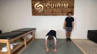 Lateral Plank Walk Push Up