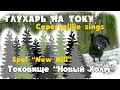 Глухарь на току. Capercaillie sings. Токовище &quot;Новый холм&quot;. Spot &quot;New Hill&quot;