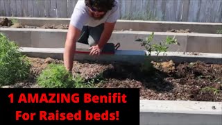 Raised beds vs normal gardening