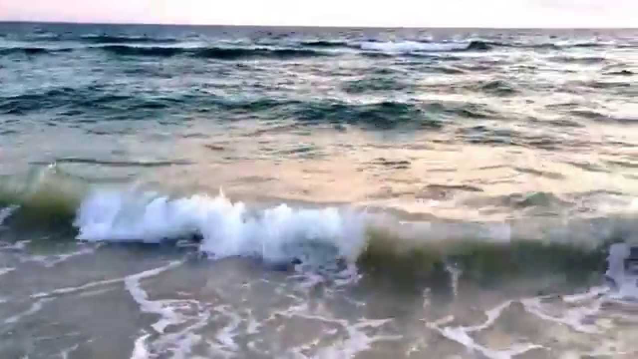 The "Land Sharks" catch a HUGE Bull Shark Cape San Blas, FL. YouTube