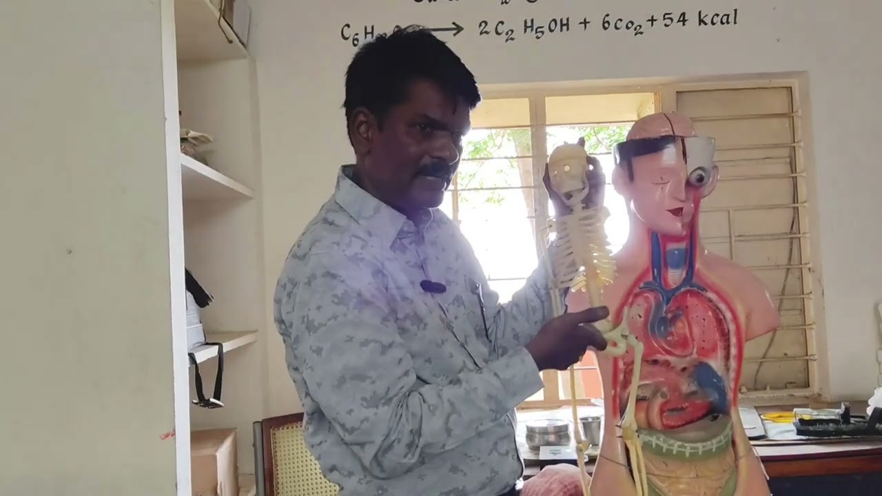 Body Parts : Readiness Class VI 