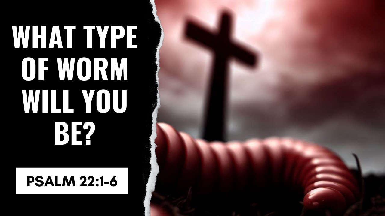 What Type of Worm Will You Be? | Troy Hall | Psalm 22:1-6 | Sermon on ...
