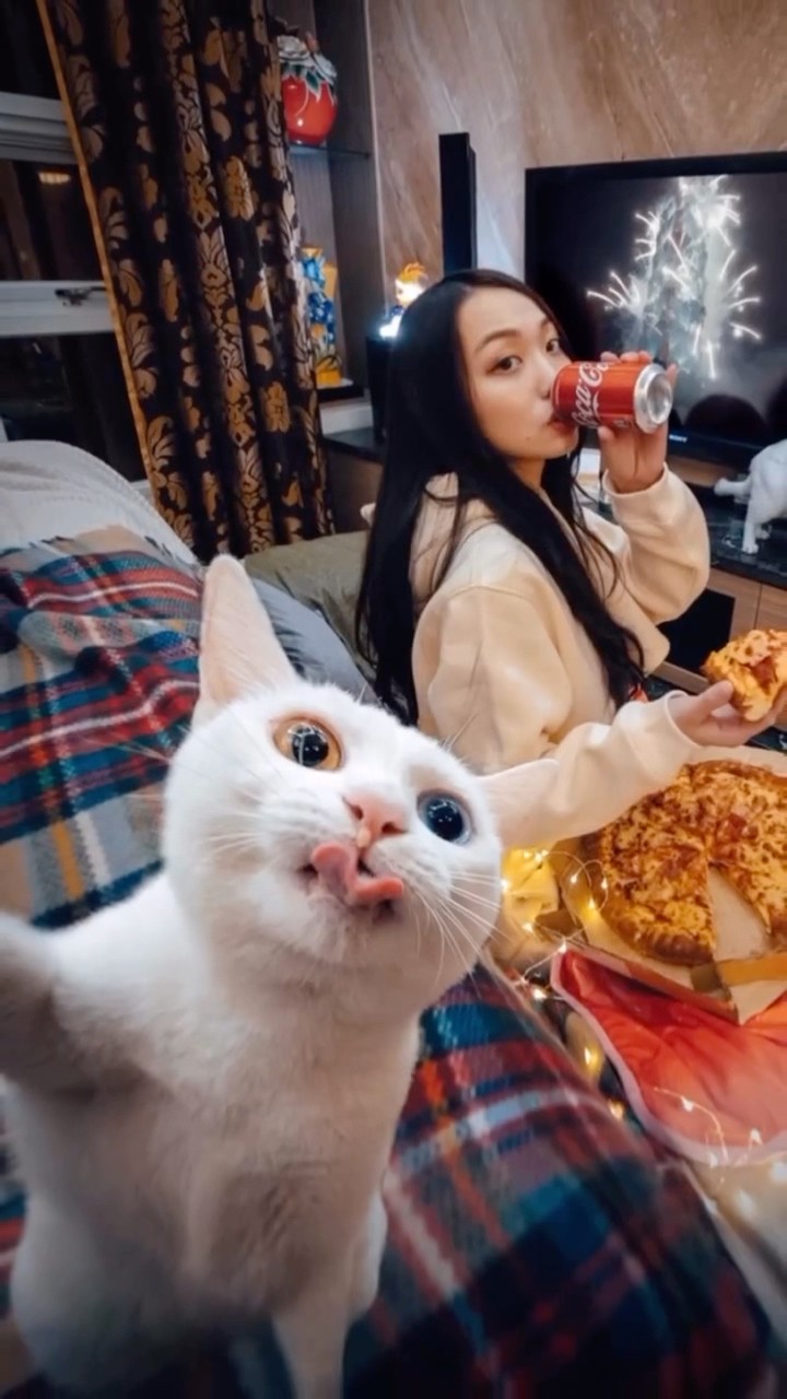 #JasonDeruloTV // Cat Selfie ? #GotPermissionToPost From IG @kathy_0718 #HandsOnMe