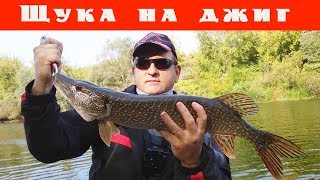 Рыбалка на Цне. Спиннинг. Ловля щуки на джиг.....