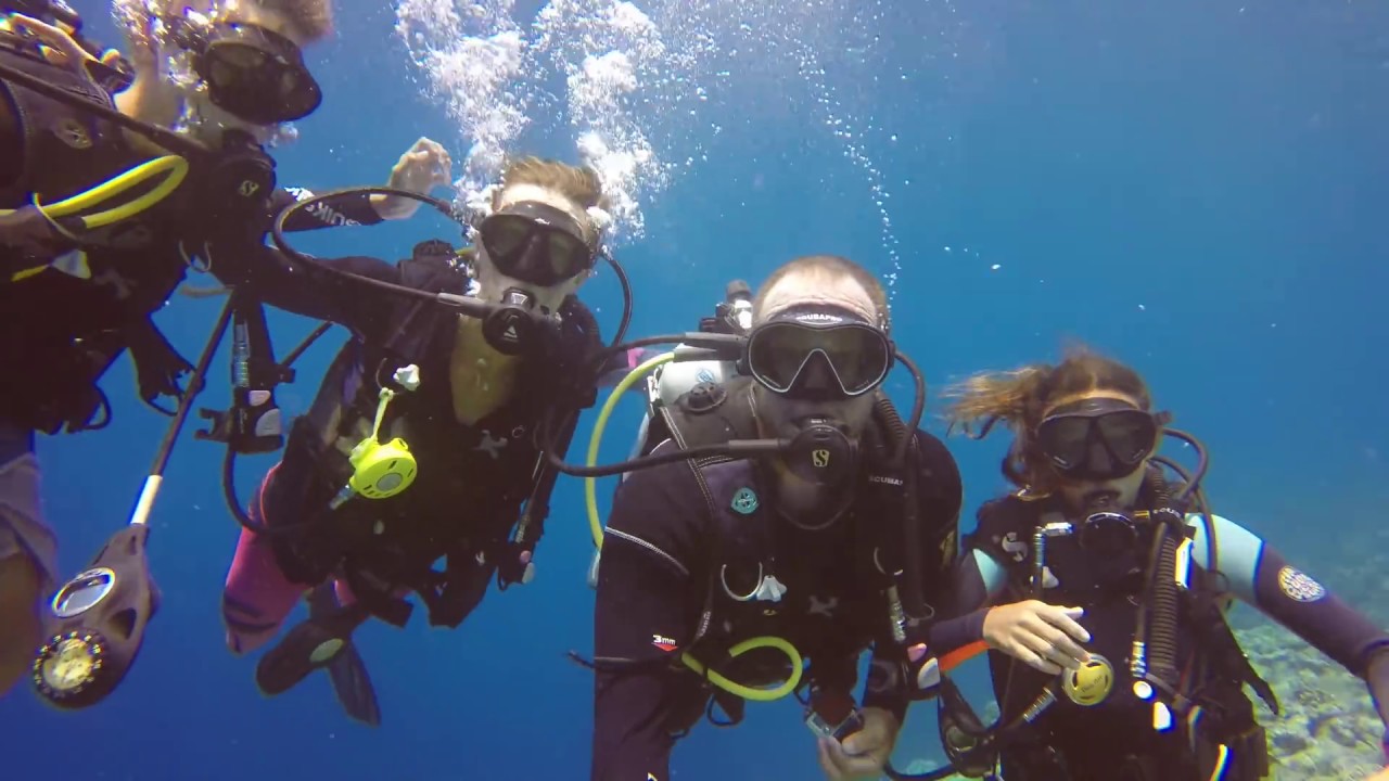 Wakatobi DIVING & local Food Episode 72 (Sailing Catalpa)