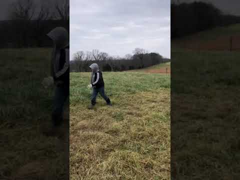 Stockpile Fescue