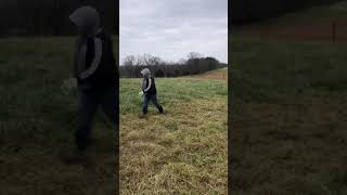 Stockpile Fescue