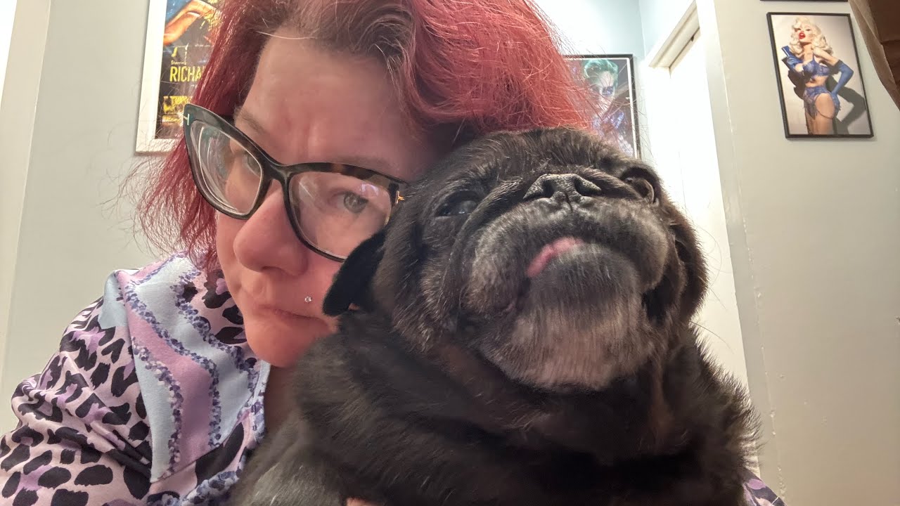 ДЕНЬ 2 С МОИМ МОПСОМ-ДИАБЕТИКОМ: ПОДГОТОВКА К НАЧАЛУ ЛЕЧЕНИЯ