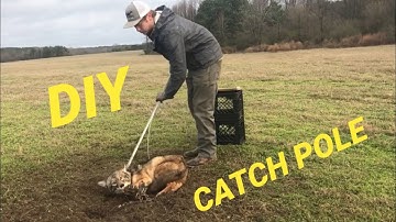 HOW TO MAKE A CATCH POLE!!!