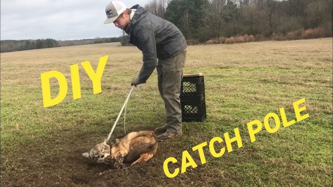 How to Make a CHEAP Catch Pole 