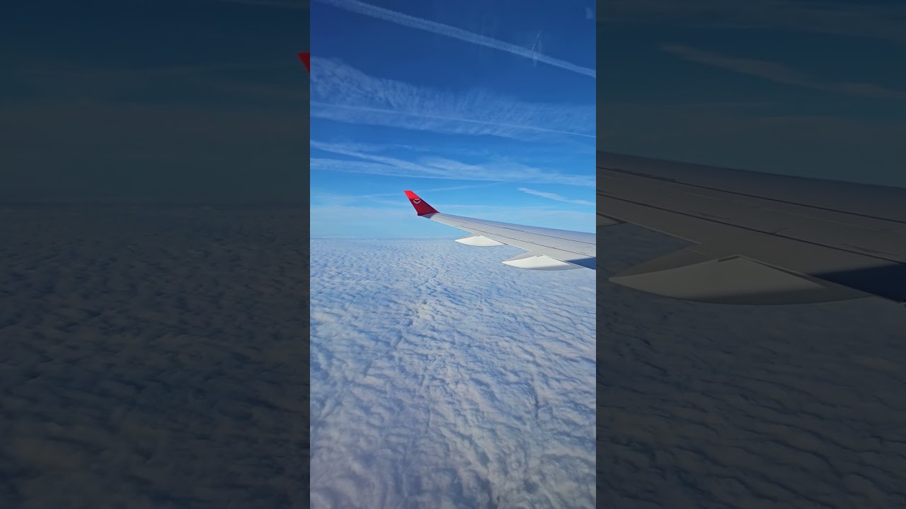 Brand New Airbus A220-300 | ANIMAWINGS | 