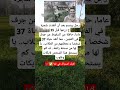 رجل يبتسم بعد أن أنقذت شجرة جزرعها قبل 35عاما حافلة من السقوط عن جرف في الفلبين مما أنقذ العلم