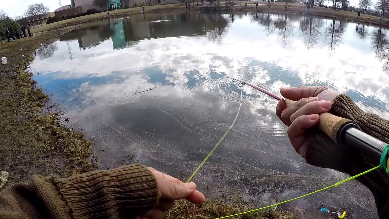 One Rod, No Reel #flyfishing #flycasting 