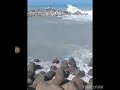 لحظة تحطم قارب صيد بباب ميناء أصيلة