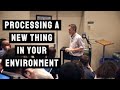 How do You Process A New thing in Your Environment? | Jordan Peterson