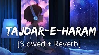 Tajdar-E-Haram [Slowed Reverb] |Atif Aslam Coke studio | Textaudio | Lofi