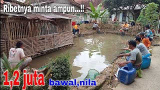 Dijamin pusing,yg punya kolam‼️mancing bawal paling rusuh.....