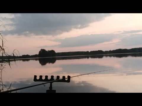 Рыболовные Приключения. Рыбалка Онлайн на Диком Заливе.