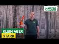 ECHO Akku-Astsäge DHS-3006 Vorstellung // Herstellervideo // MotorLand