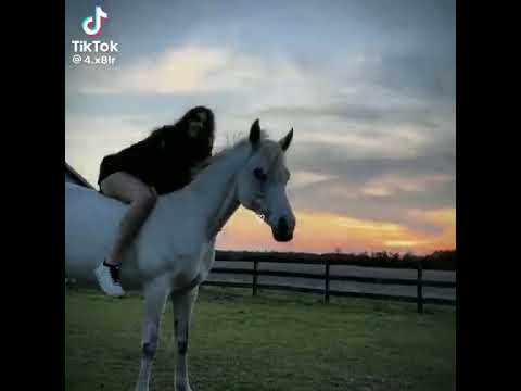 رميت شالا فوق البحر