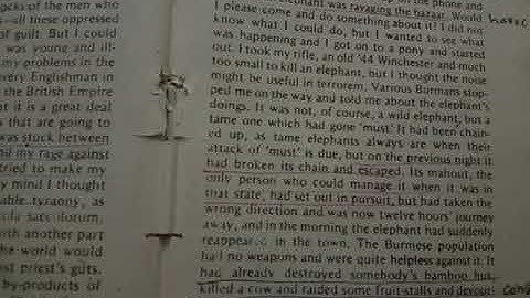 English 3rd Year, Lecture #1, Shooting an Elephant