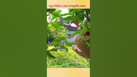 Chinese funny video 😂| hasir video| hasir comedy| #shorts #youtubeshorts#skfunnycartoon