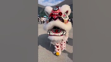 #liondance #barongsaiimlek #youtube #barongsai #tiktok #dance #love #like #live #youtubeshorts