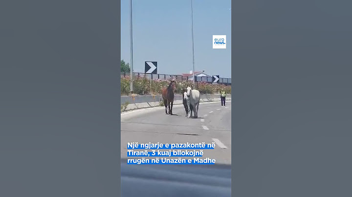 Një ngjarje e pazakontë në Tiranë/ 3 kuaj bllokojnë rrugën në Unazën e Madhe