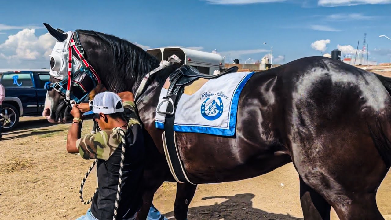 Súper Carrera Estelar | El Prieto Felix Vs El Yogui, Carril 2000 Durango Mex.