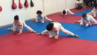 BEGINNER CLASS |  Warming up before Colour belt testing on June 24 2017