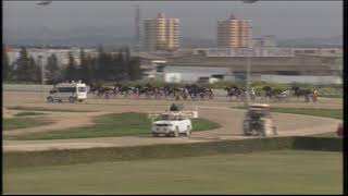 Vidéo de la course PMU PREMI TORRE DEL RAM