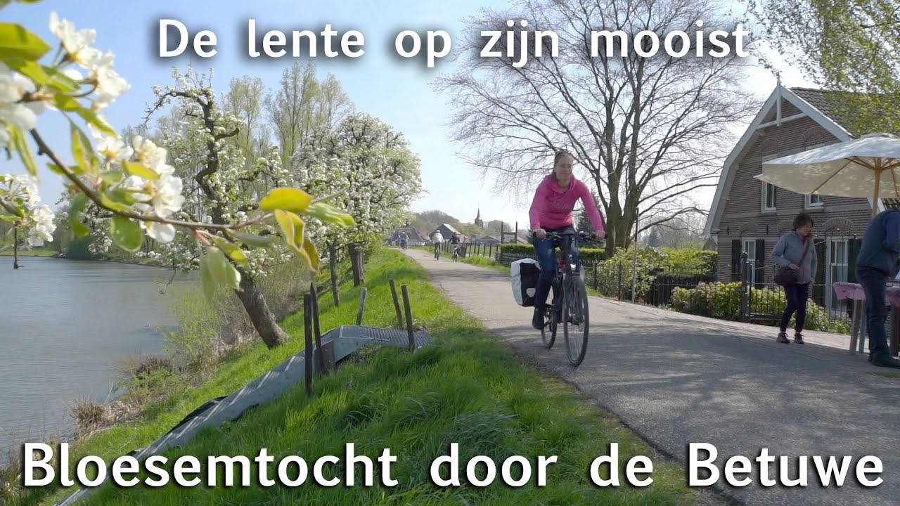 Bloesemtocht fietsen in de Betuwe [44km] - De Nederlandse Toerist