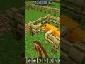 fox trape with chiken 🤣 | subscribe for more video and trape #sneakycraft #minecraft