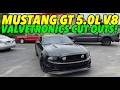 2014 Ford Mustang GT 5.0L V8 w/ VALVETRONICS CUT OUT MUFFLERS!