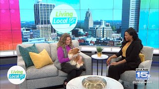 Heartland Cavalier Connection Rescues Cavalier King Charles Spaniels | Living Local 15