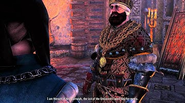 The Witcher 2 pc game, chapter 2, Roche kills Henselt