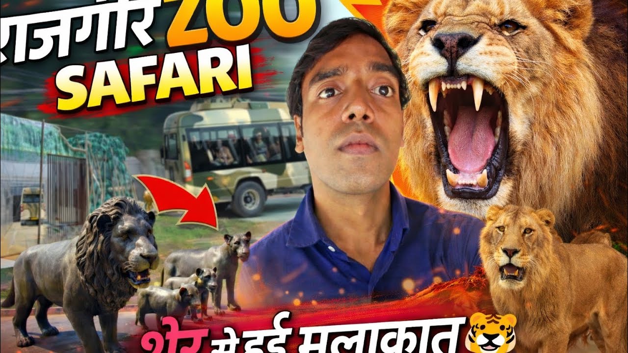 पहली बार शेर से आमना-सामना 🦁राजगीर सफारी में जान जोखिम!”