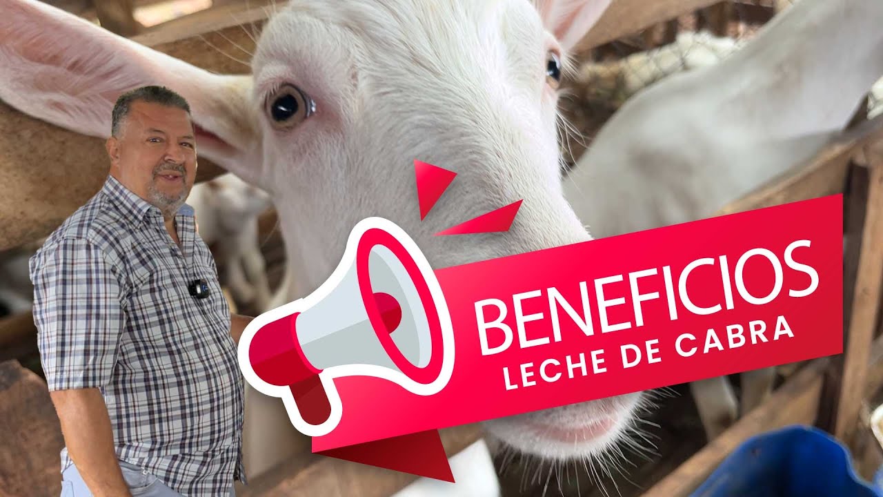 Leche de cabra: nutrición y bienestar
