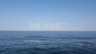 Vlog I 남자 혼자 강릉여행 l 1박 2일•영진해변•도깨비촬영지•주문진해변•오핑하우스•오션뷰숙소 (feat.군입대)