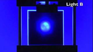 Beam Profiling of Two Dental Curing Lights