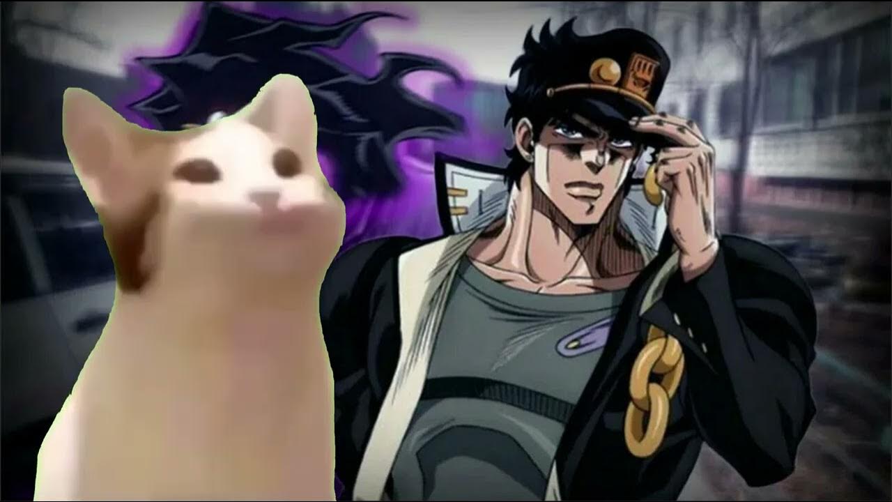Джоджо кэт. Тама кот джоджо. Jojo cat. Котик джоджо ава. Стар кат джоджо.