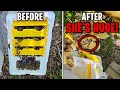How To Get A Quality Queen From A 6 Temu Mini Mating Nuc 